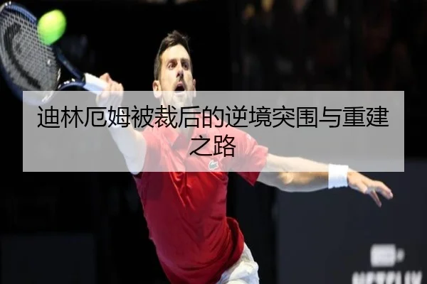 迪林厄姆被裁后的逆境突围与重建之路